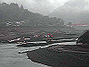 2013-12-26_thumb.jpg