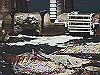 2014-10-03_thumb.jpg