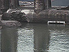 2015-11-22_thumb.jpg