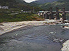 2014-10-16_thumb.jpg