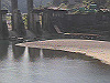 2015-10-13_thumb.jpg