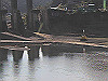 2015-12-09_thumb.jpg