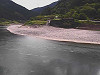 2018-08-30_thumb.jpg