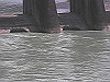 2015-07-15_thumb.jpg
