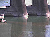 2015-08-08_thumb.jpg