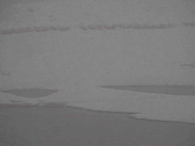 2016-01-24.jpg